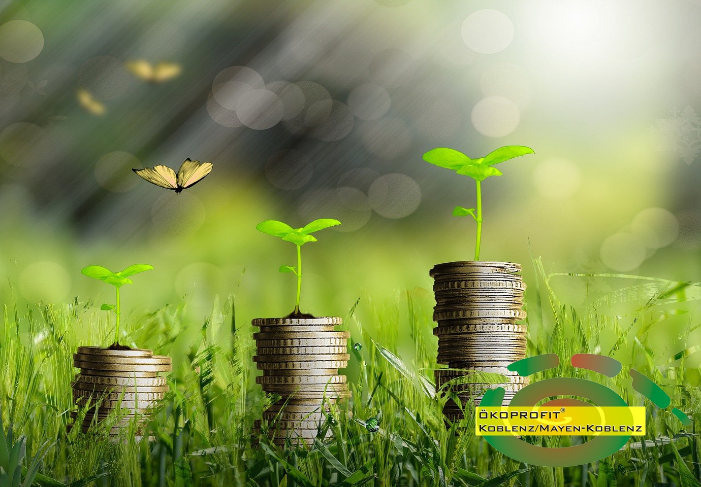 Ökoprofit in MYK und KO: Einstieg ins Umweltmanagement