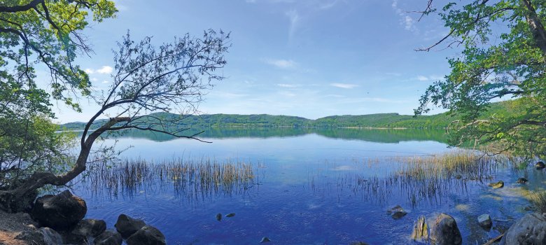 Der Laacher See ist das größte Natur-schutzgebiet im nördlichen Rheinland-Pfalz und ein wichtiges Vogelschutzgebiet. Er ist das Zuhause vieler seltener Tier- und Pflan-zenarten. 