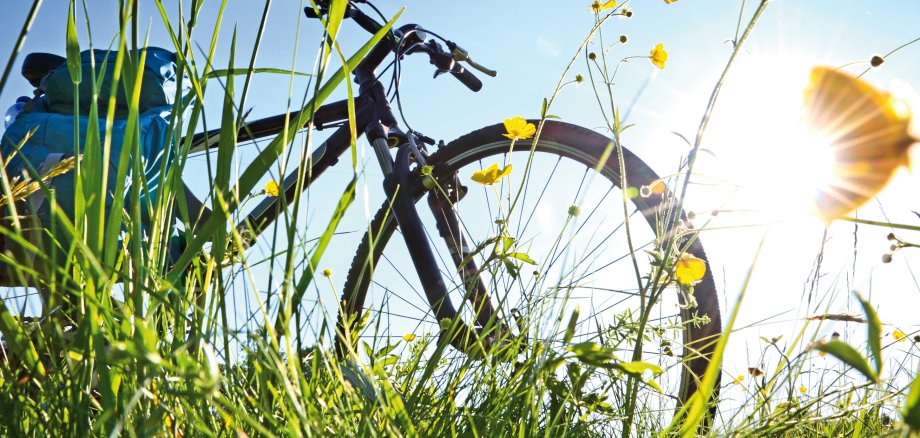 Trekkingbike Pause im Gegenlicht