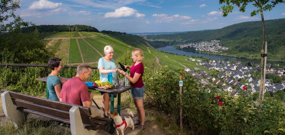 Die Traumpfädchen „Moseltraum“ in Winningen (1), „Kleiner Stern“ in Andernach (2), „Eifeltraum“ bei Kürrenberg (3) sowie der „Langscheider Wacholderblick“ (4), der „Riedener Seeblick“ (5) und die „Niederfeller Schweiz“ (6) wurden erfolgreich als Premium-Spazierwanderwege nachzertifiziert. 