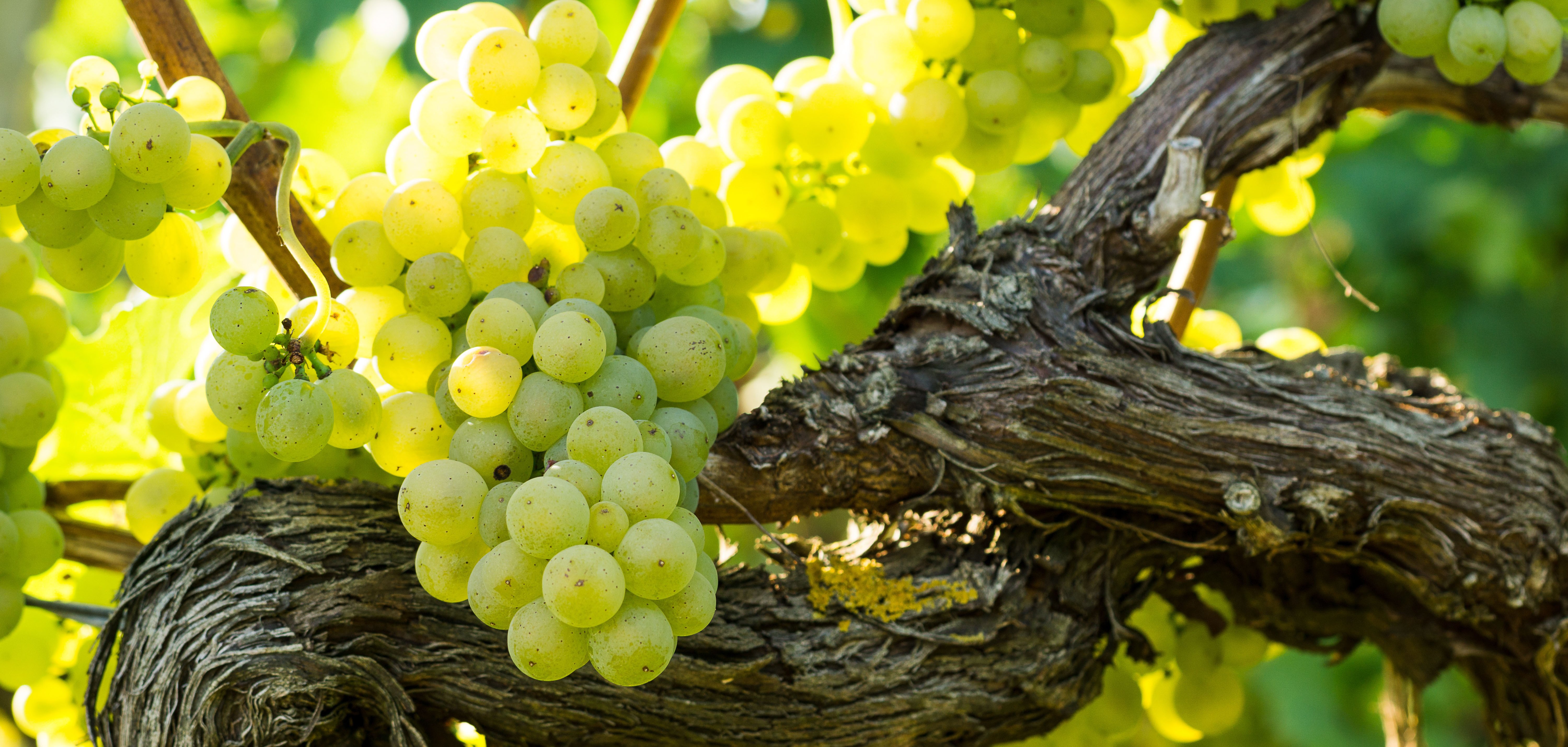 AdobeStock_163664028