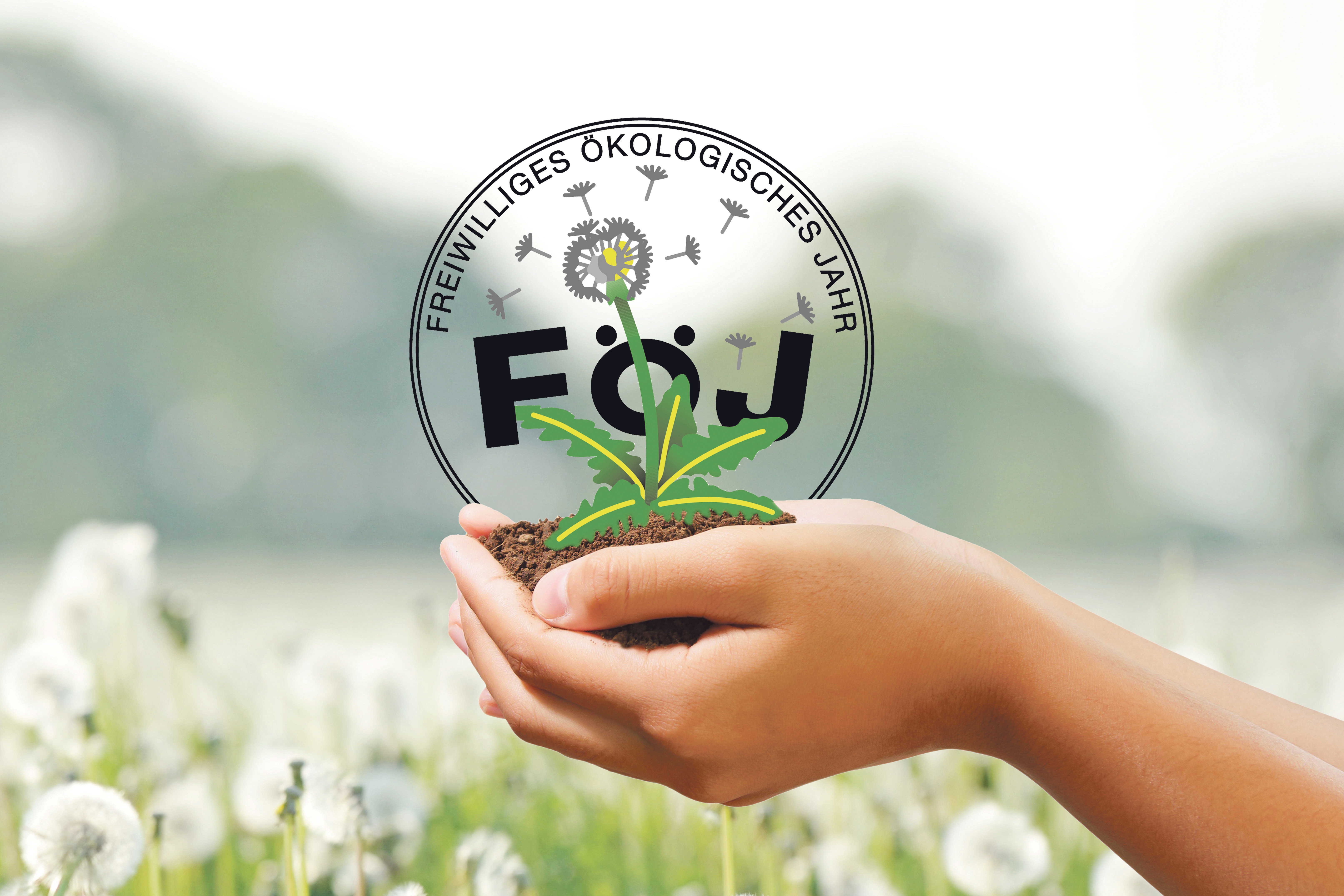 Jetzt für Freiwilliges ökologisches Jahr beim Landkreis MYK bewerben 