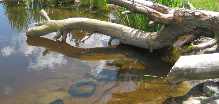 Bei Niedrigwasser sollte kein Wasser aus Bächen, Gräben, Flüssen, Seen und Teichen entnommen werden. 