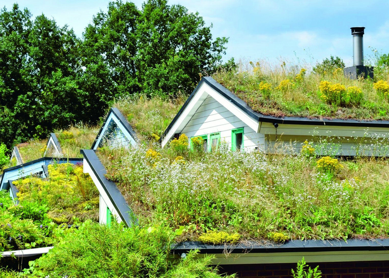 MYK fördert Dach- und Fassadenbegrünung: Noch bis zum 31. Oktober Anträge einreichen 