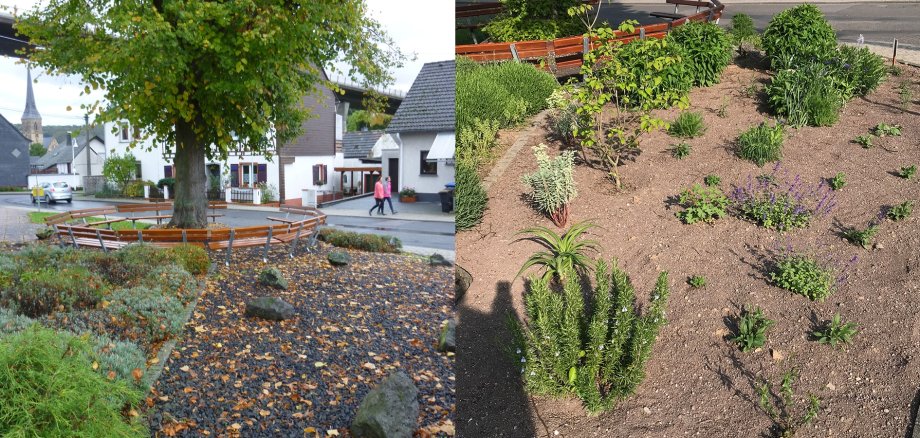 Ein Musterbeispiel aus dem Vorjahr: Die „Schöpp un Hack-Freunde in Rhens“ verwan-delten die Fläche um die Kaiserlinde von einer Schotterwüste zu einem Blumenbeet.  