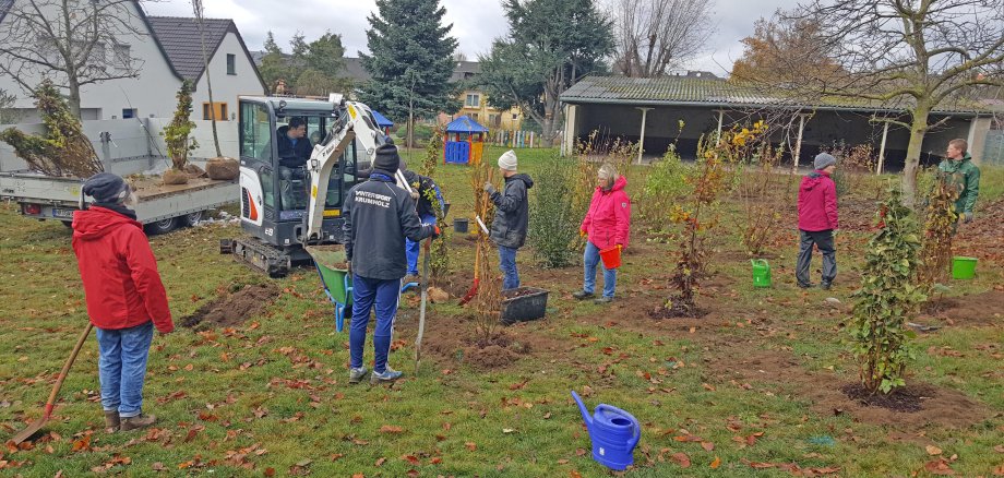 In der Katholischen Kindertagesstätte St. Martin in Ochtendung haben Erzieher, Eltern und Projektbeteiligte rund 40 Bäume und Sträucher gepflanzt. 