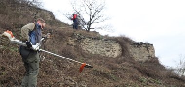 Die Weinbergsbrachen müssen regelmäßig nachgepflegt werden, damit sich die aus der Erhaltungszucht ausgesetzten Schmetterlingsraupen wohlfühlen. 