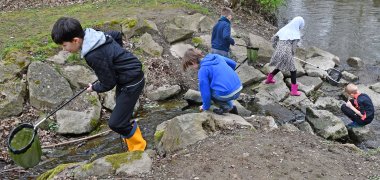 Die Kleinen untersuchten mit Keschern, Eimern und Lupen, welche unterschiedlichen Gewässertiere in der Nette und im Plaidter Entenweiher leben. Dabei gingen den Kindern viele kleine Lebewesen ins Netz. 