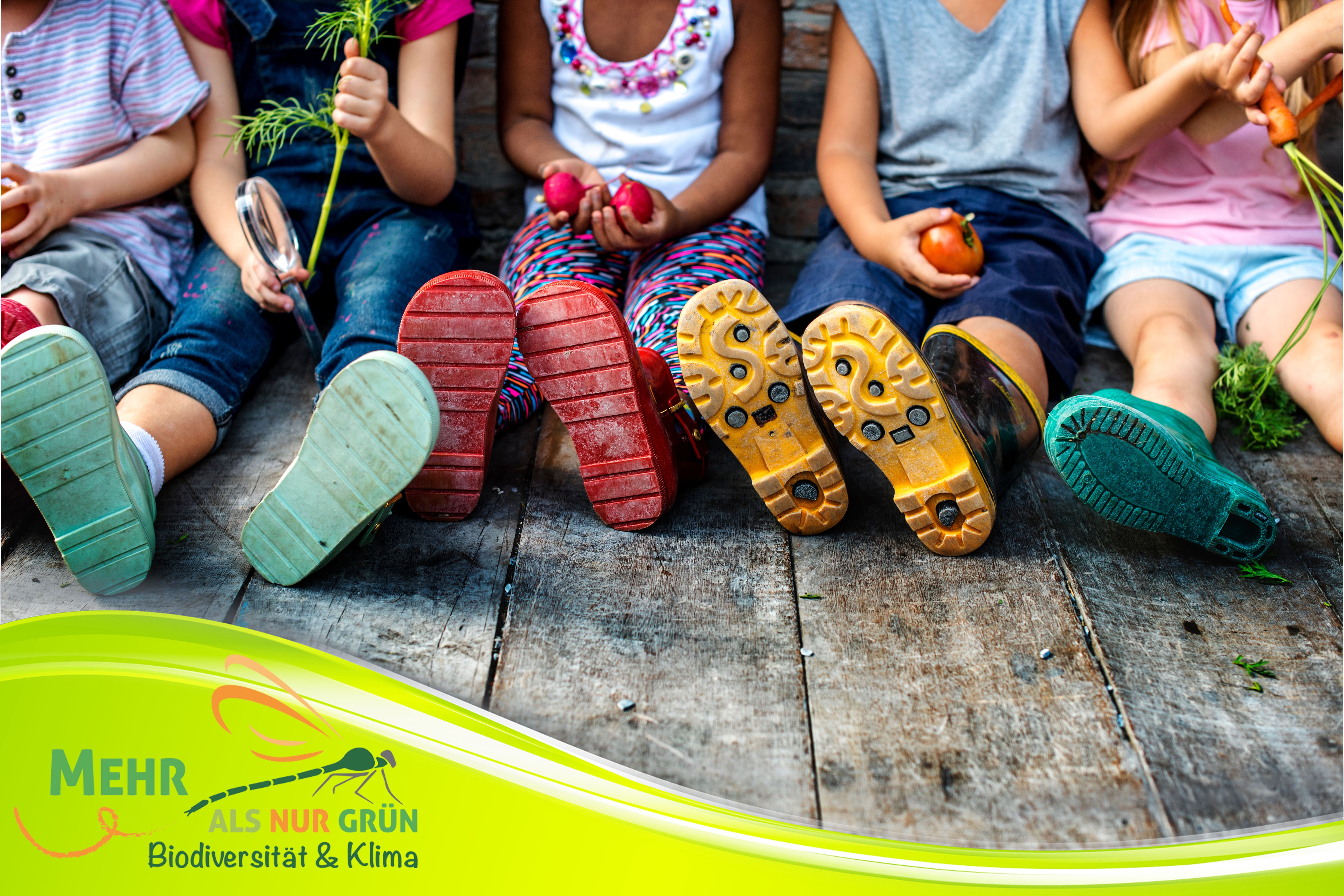 Projekt „Mehr als nur Grün“ fördert naturnahes Spielen in Kitas 