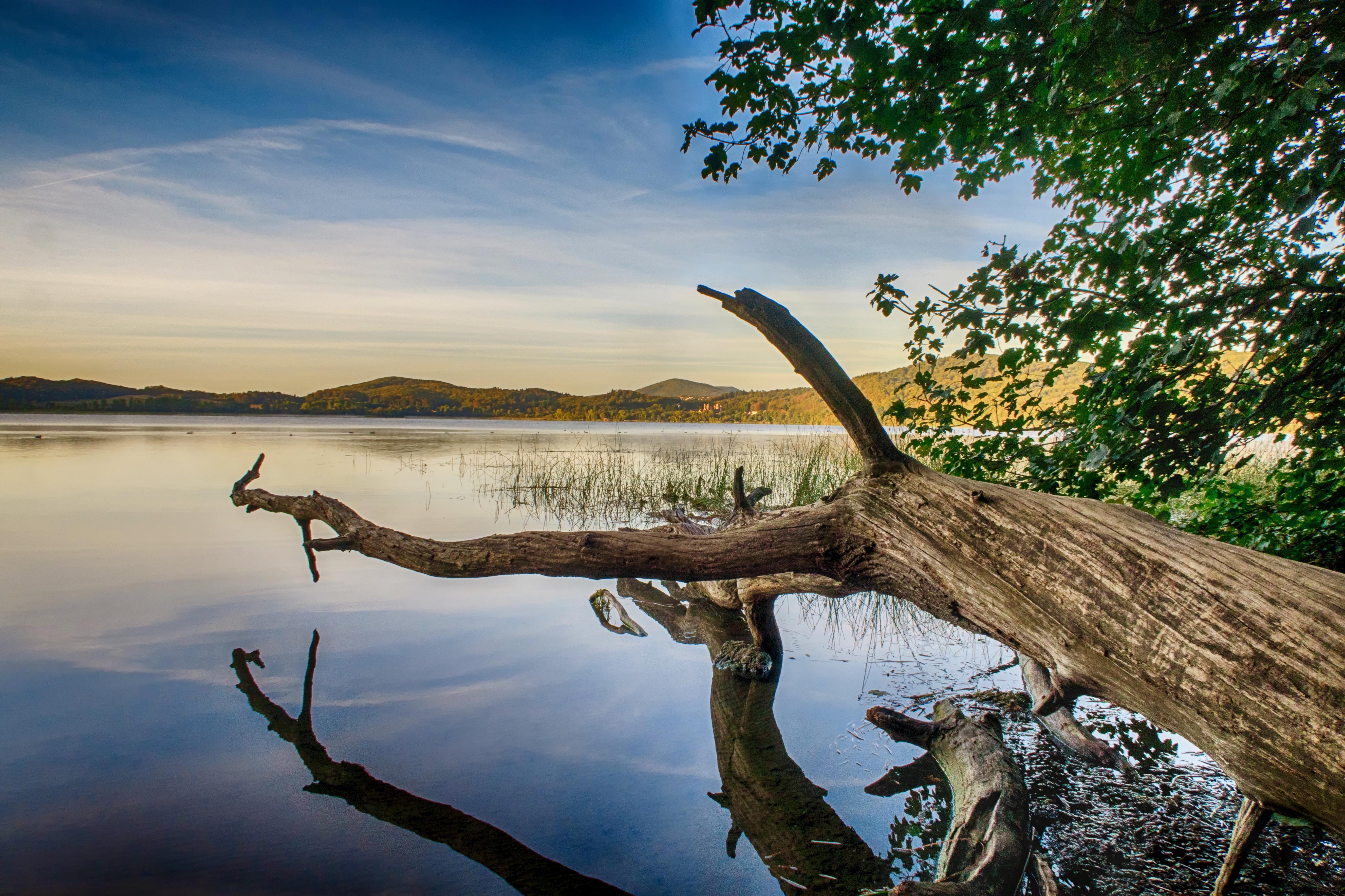 Der Laacher See ist das größte Naturschutzgebiet im nördlichen Rheinland-Pfalz und ein wichtiges Vogelschutzgebiet. Er ist das Zuhause vieler seltener Tier- und Pflanzenarten. Damit das so bleibt, ist es wichtig, die Bestimmungen des Naturschutzes bei einem Besuch einzuhalten. 