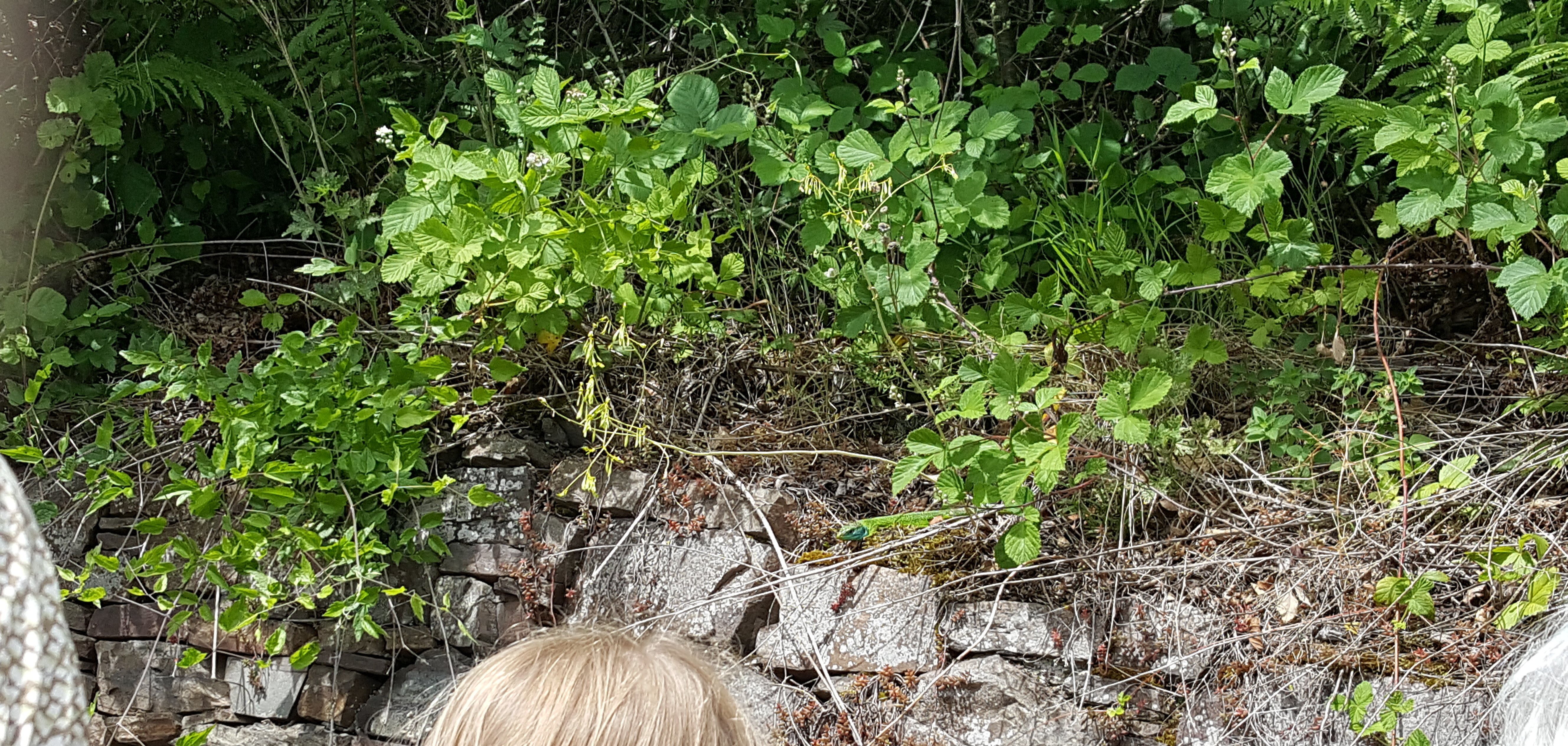 Kreisverwaltung MYK/L. Jaeger