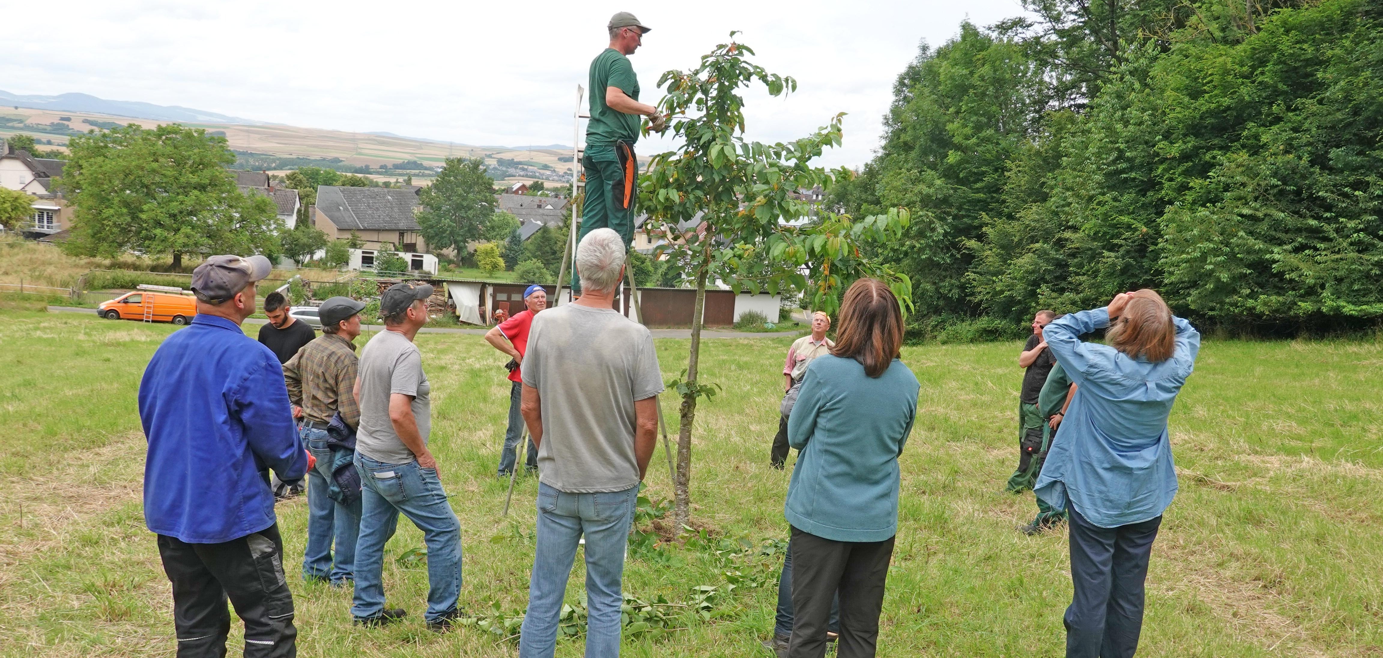 Erfolgreicher Start der Sommerschnittkurse in Kalt 