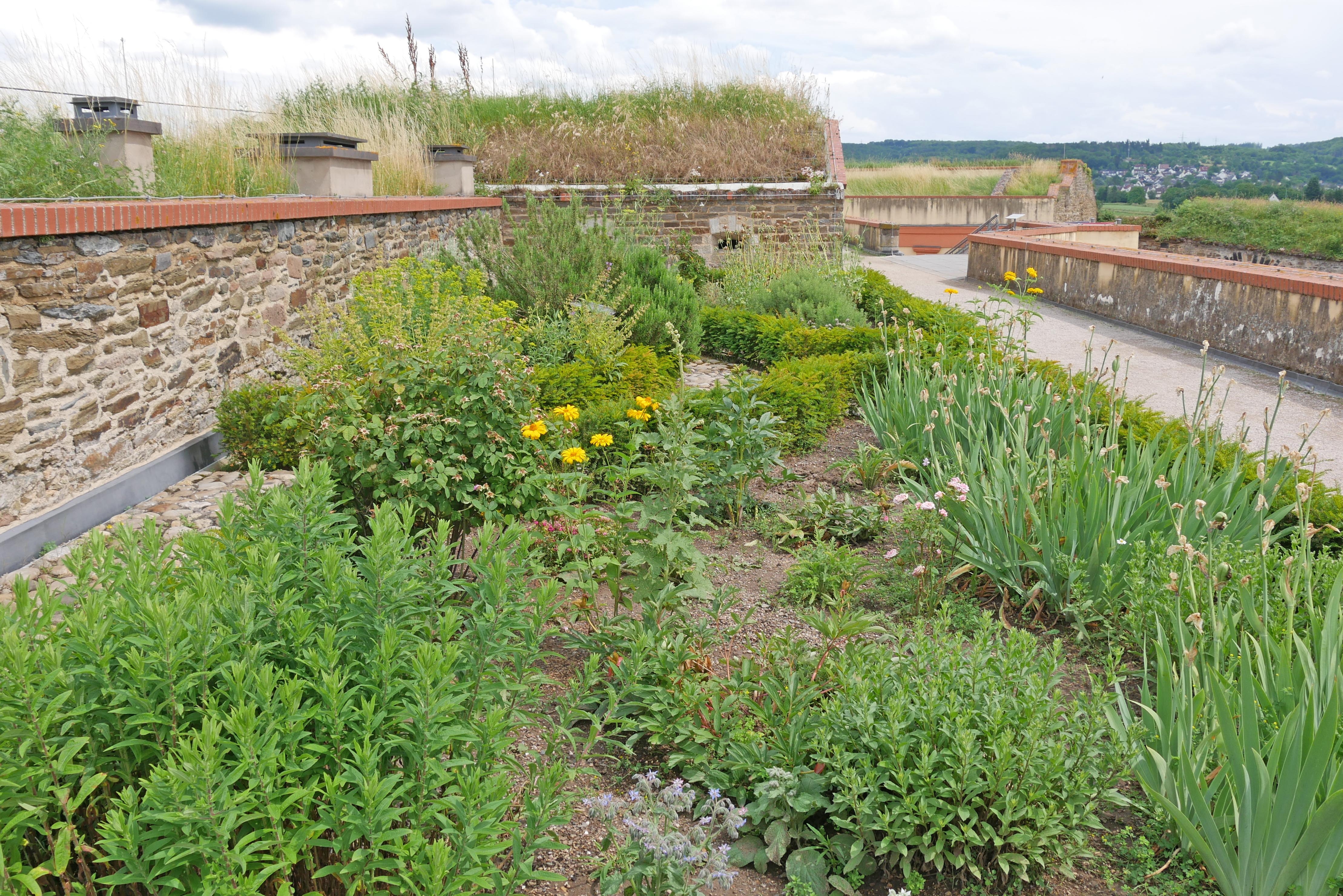 Gartenkulturen von Steinzeit bis Mittelalter erleben 