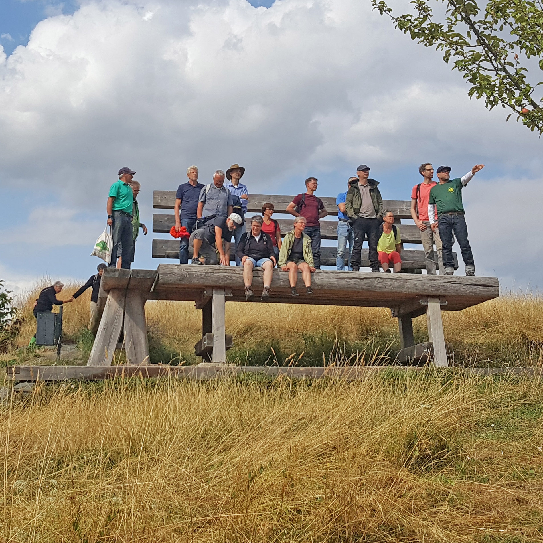 Beim jüngsten Initiativentreffen erkundeten die Teilnehmenden die Streuobstwiesen von Kottenheim. 
