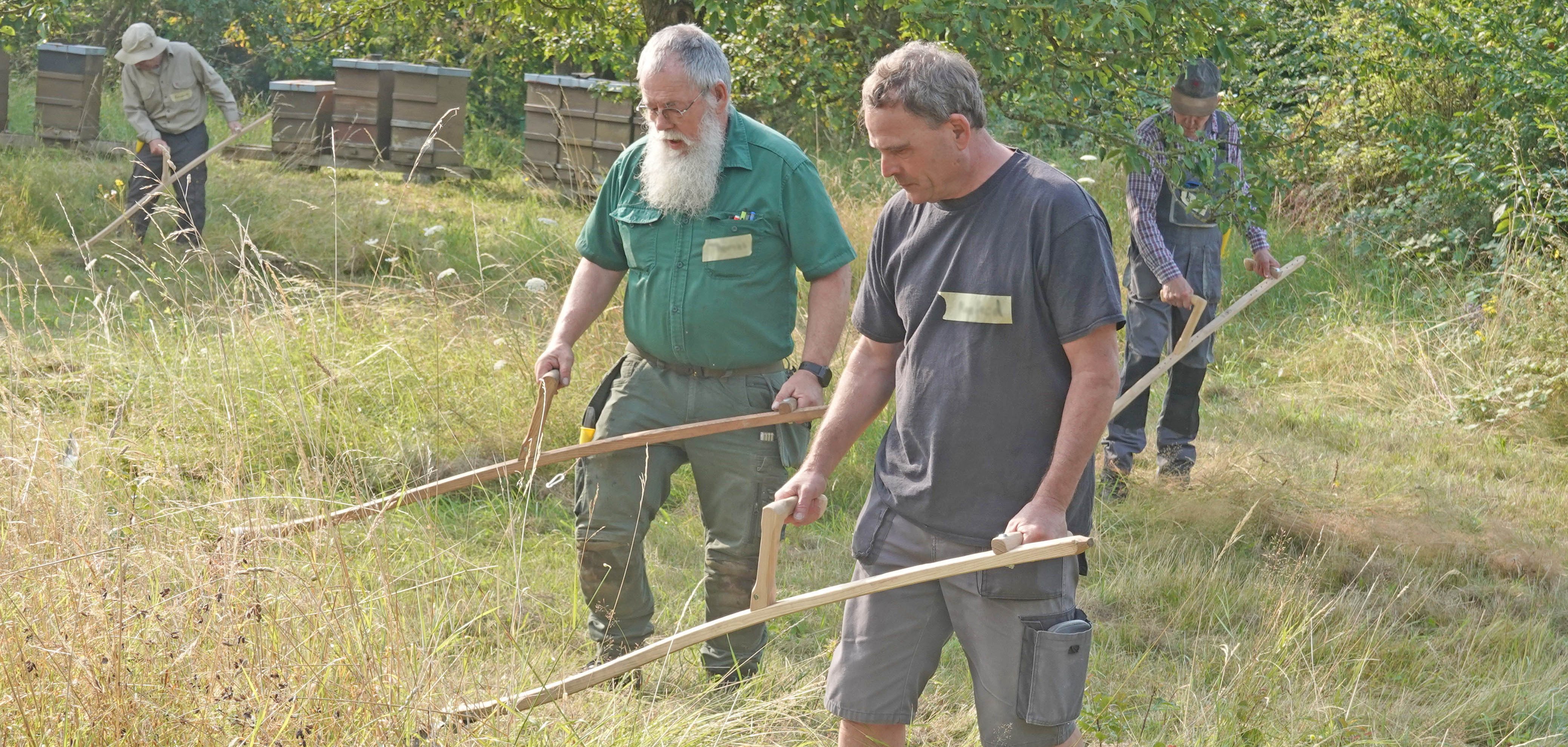 Wie man eine Wiese umweltfreundlich, artenschonend und fast CO2 frei mit einer Sense mäht erfuhren die Teilnehmenden des Sensenkurses in Monreal. 