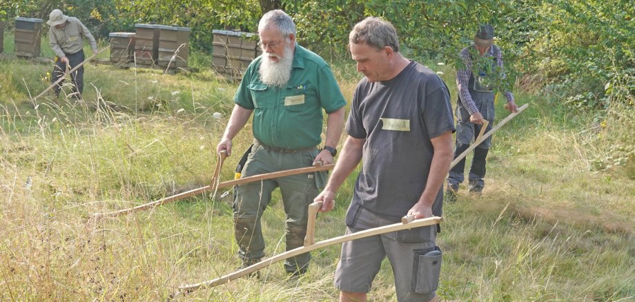 Wie man eine Wiese umweltfreundlich, artenschonend und fast CO2 frei mit einer Sense mäht erfuhren die Teilnehmenden des Sensenkurses in Monreal. 