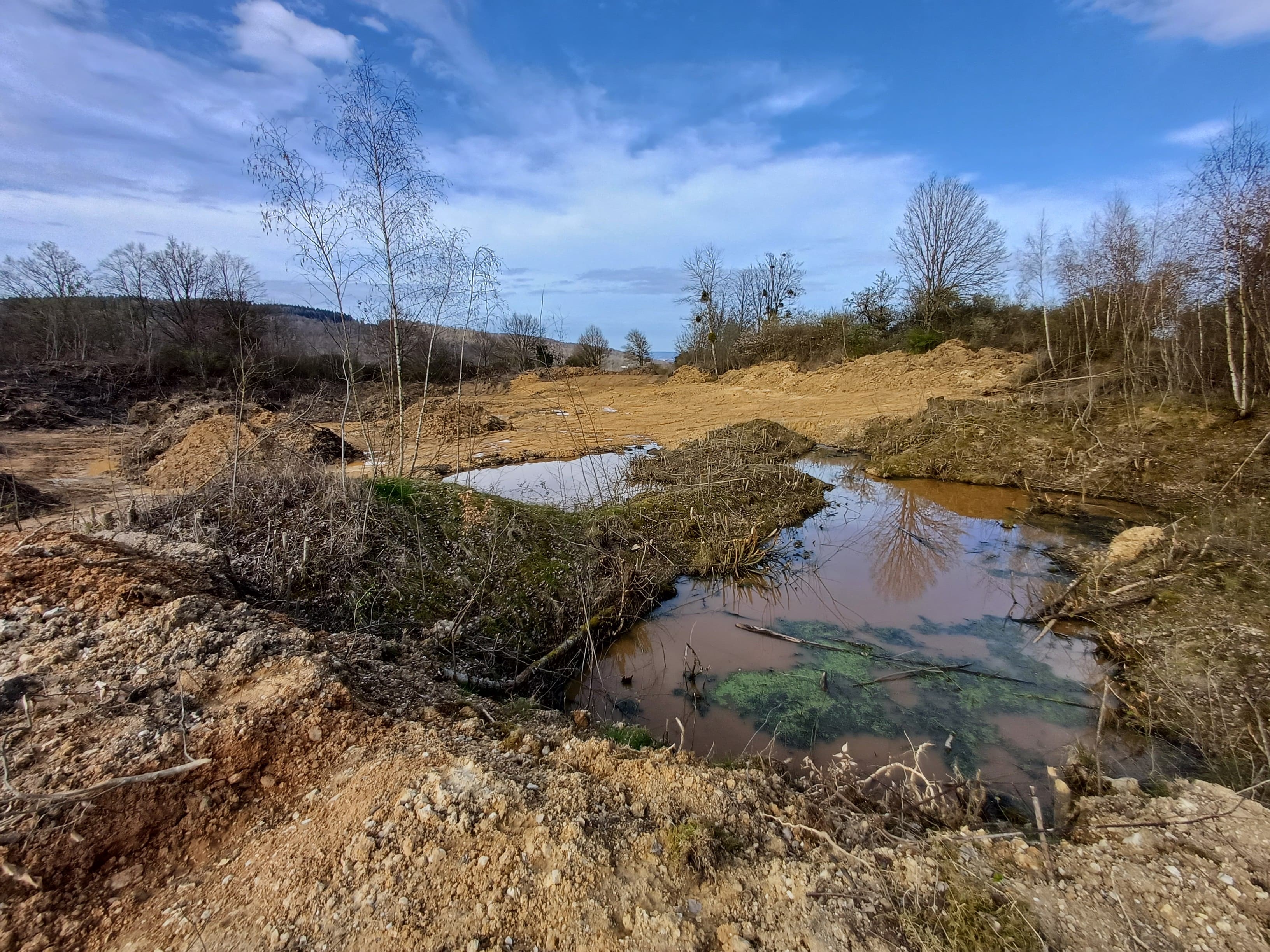 Durch die Baggerarbeiten zur Freistellung sieht das Gelände der alten Kiesgrube am Kieselberg bei Rhens noch wie ein lebensfeindlicher Zustand aus, aber durch die Naturschutzmaßnahmen wird der Weg in ein artenreiches Ökosystem geebnet. 