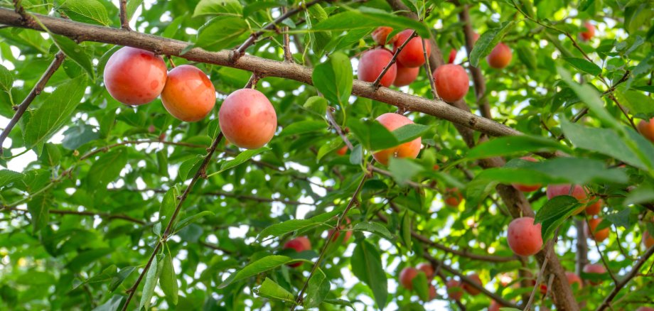 AdobeStock_1190772825 AdobeStock_1190772825