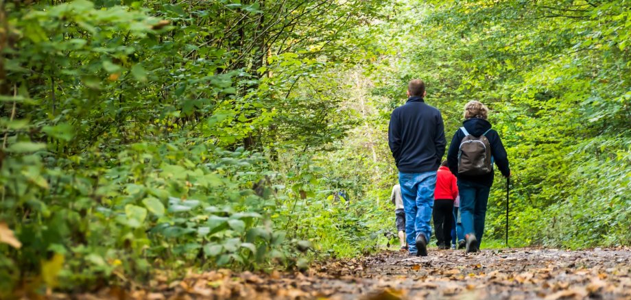 Ballade en forêt Ballade en forêt