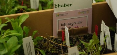 Der Verein Kehrig summt e.V. hat mit einer Pflanzpaket-Aktion die Mitbürger ermutigt ihre Gärten und Balkone insektenfreundlich zu gestalten. 