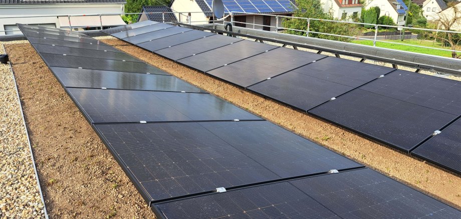 Ein Beispiel für ein neu angelegtes Gründach aus Kottenheim. 