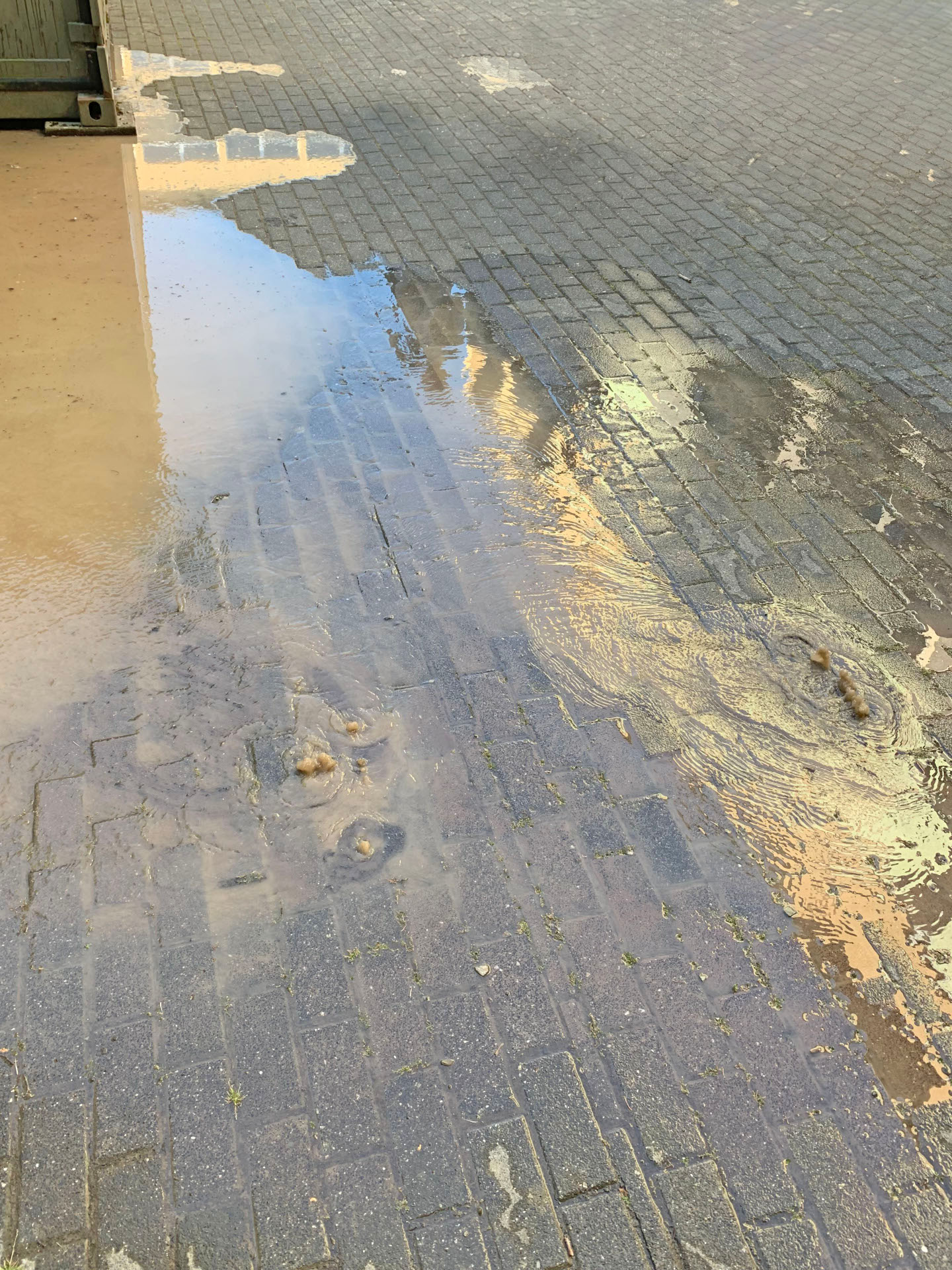 Fernunterricht am Megina-Gymnasium Mayen aufgrund eines Wasserrohrbruchs 