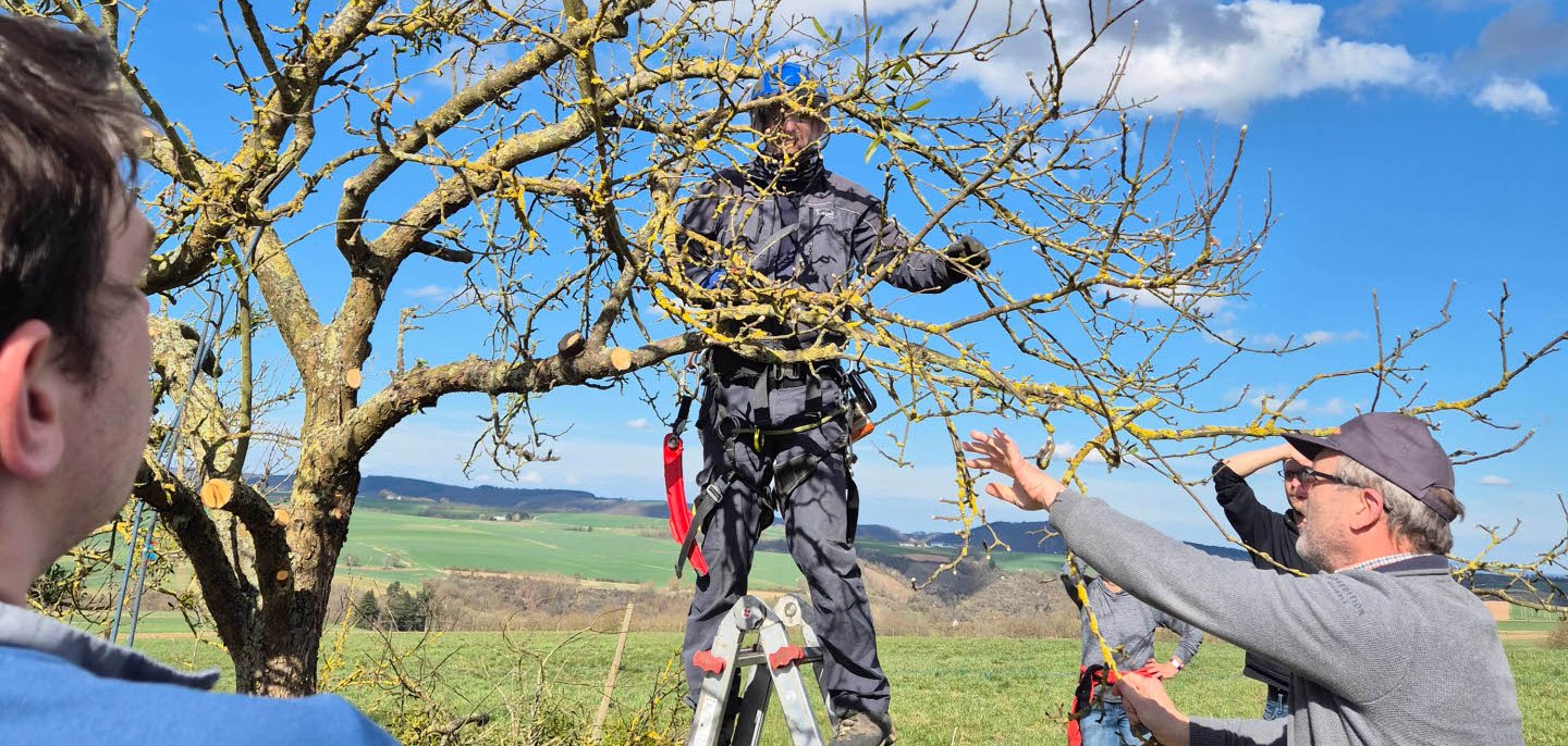 Einblick in einen der vergangenen Schnittkurse in Lehmen.