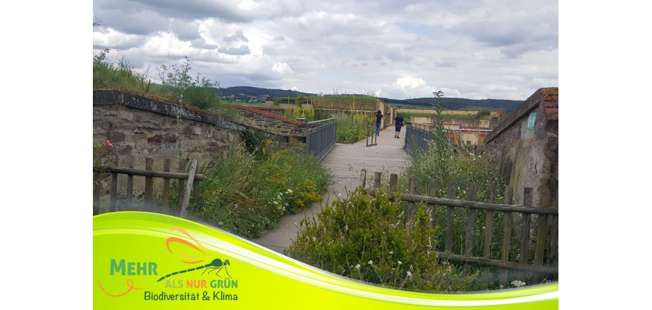 Während der Führung können die Teilnehmer die „Historischen Gärten der Festung Ehrenbreitstein“ entdecken. 