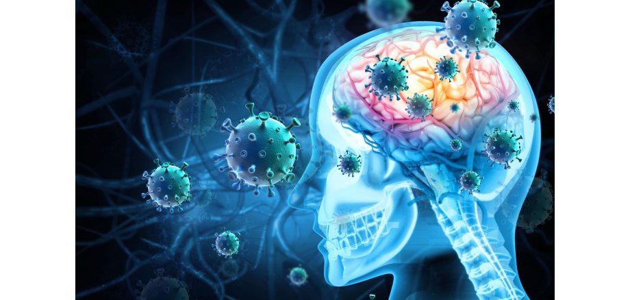 Meningitis-Fall am Megina-Gymnasium Mayen aufgetreten 