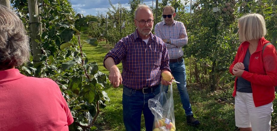 Historische Apfelsorten