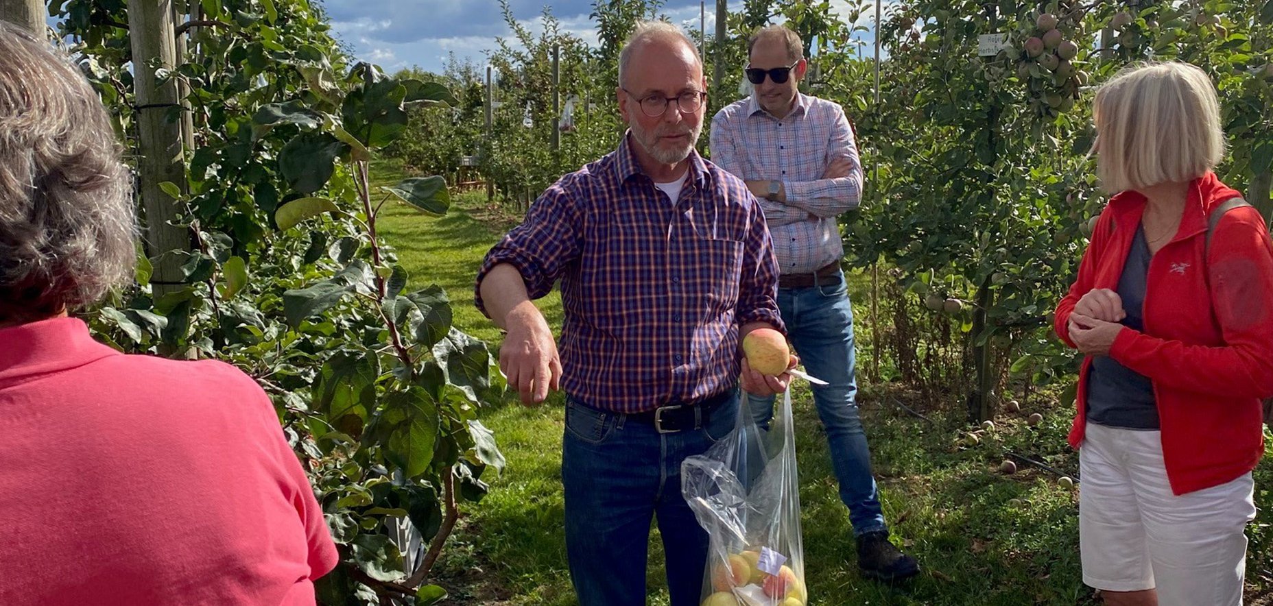 Historische Apfelsorten