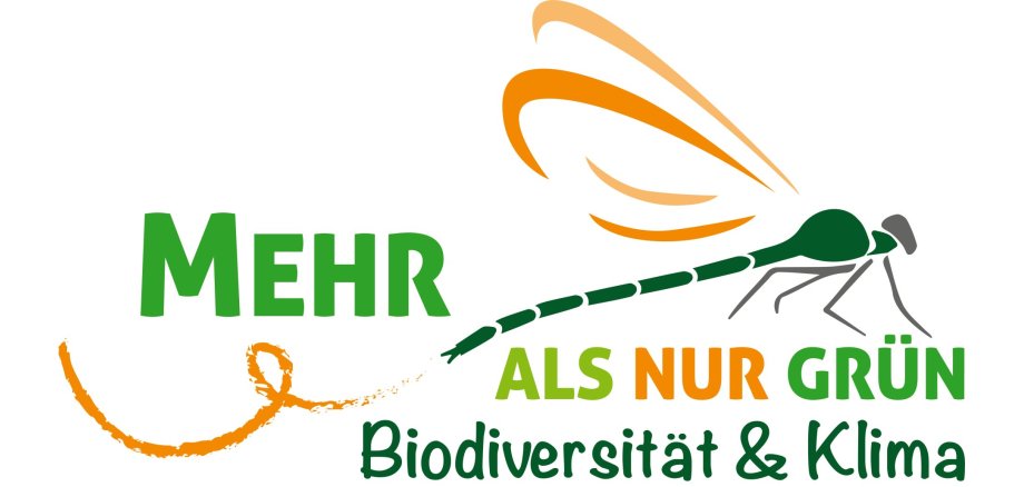 „Mehr als nur Grün“ bietet neue
Online-Vortragsreihe an
„Mehr als nur Grün“ bietet neue Online-Vortragsreihe an