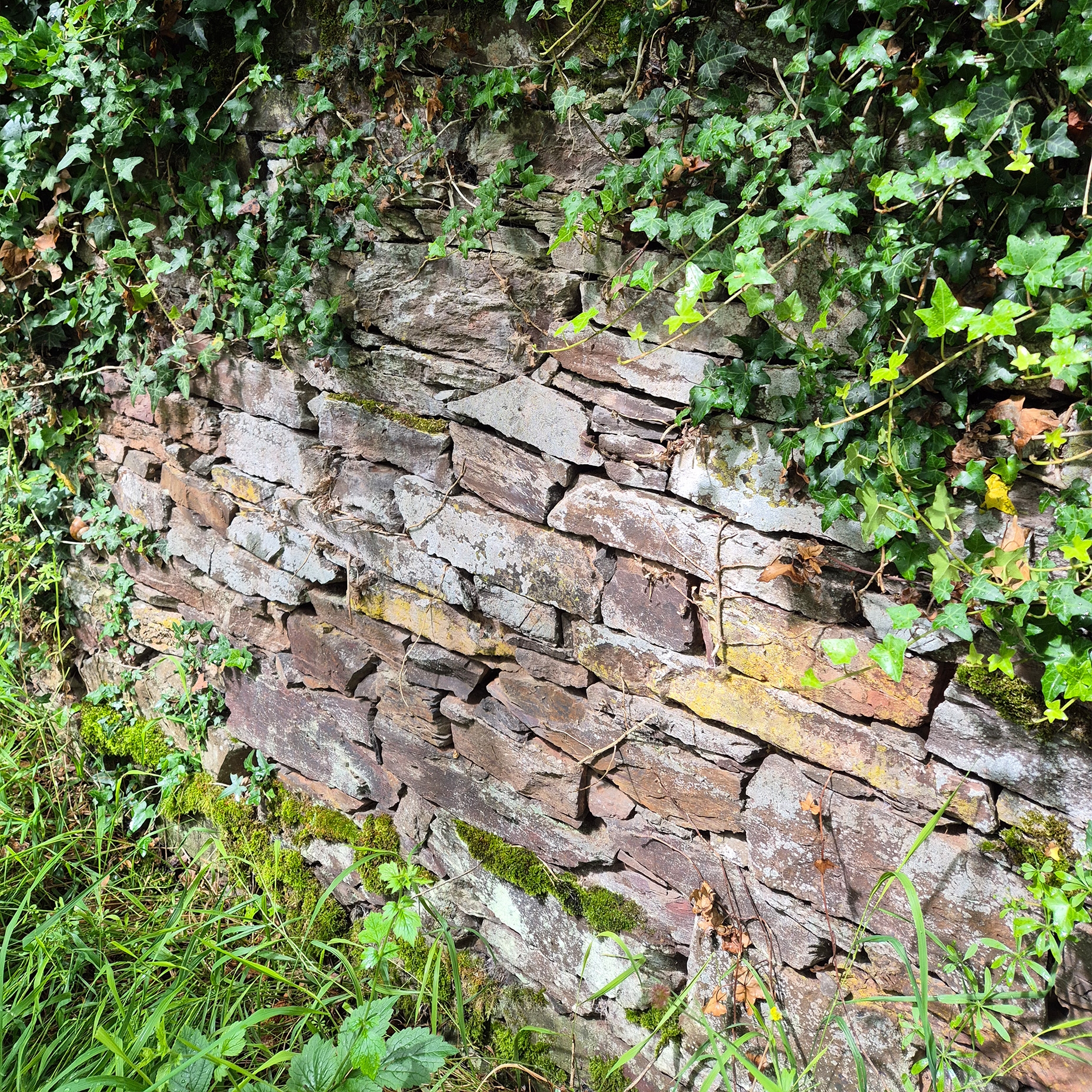 Trockenmauerbau-Kurs in Lehmen