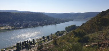 Der Ausblick vom Traumpfädchen „Spayer BlickInsTal“ auf das UNESCO-Welterbe Oberes Mittelrheintal ist atemberaubend. 
