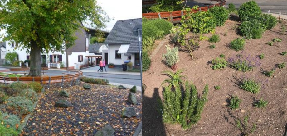 Ein Musterbeispiel aus dem Vorjahr: Die „Schöpp un Hack-Freunde in Rhens“ verwandelten die Fläche um die Kaiserlinde von einer Schotterwüste zu einem Blumenbeet.  