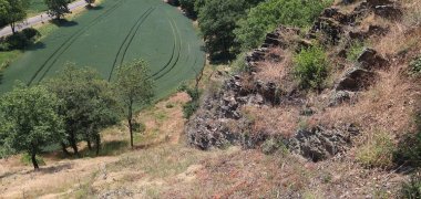 Ob die Wiederansiedlung im Ersatzlebensraum in einem Seitental der Mosel erfolgreich ist, wird sich erst in den nächsten Jahren zeigen. Ob die Wiederansiedlung im Ersatzlebensraum in einem Seitental der Mosel erfolgreich ist, wird sich erst in den nächsten Jahren zeigen.