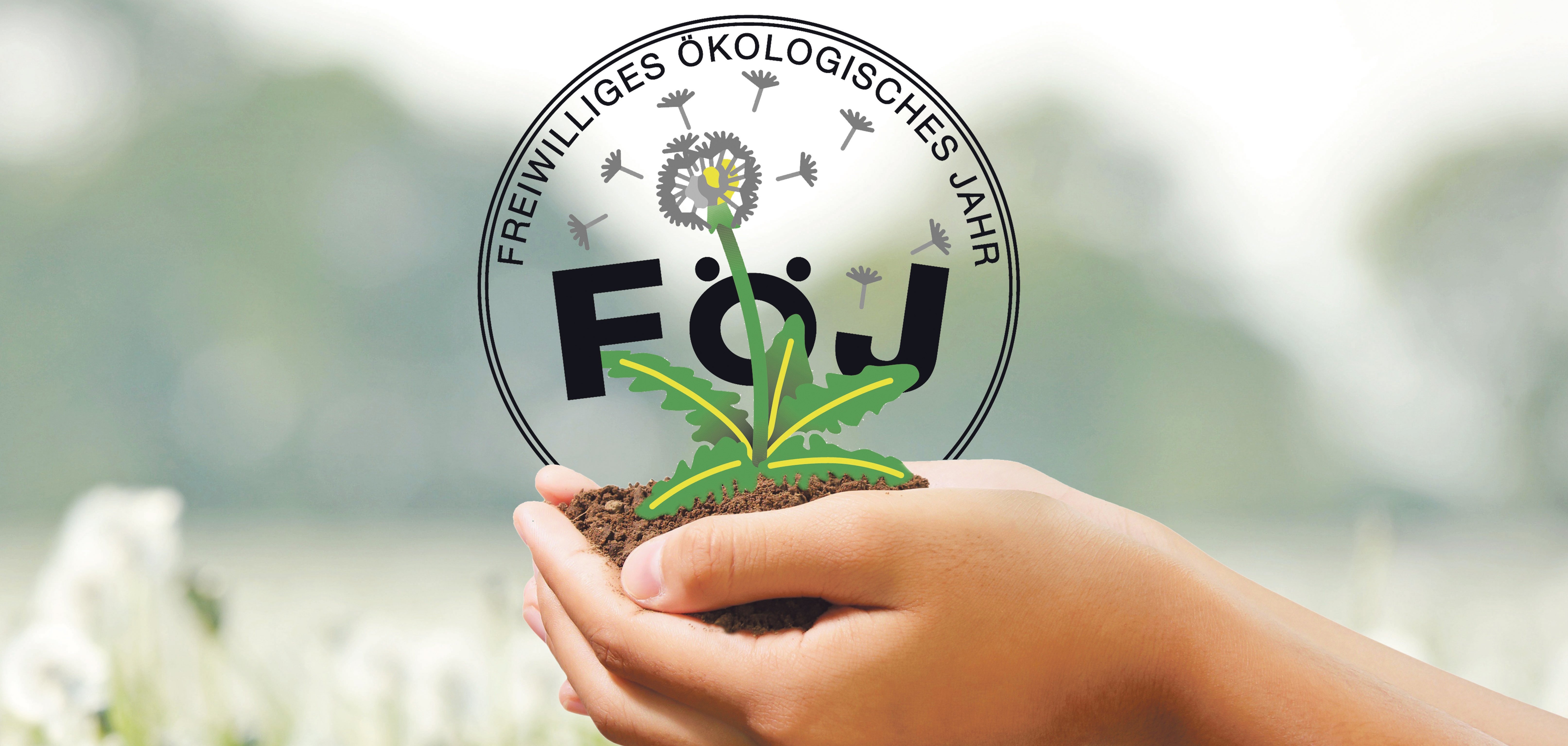 Freiwilliges Ökologisches Jahr bietet spannende Einblicke in Umwelt und Beruf 