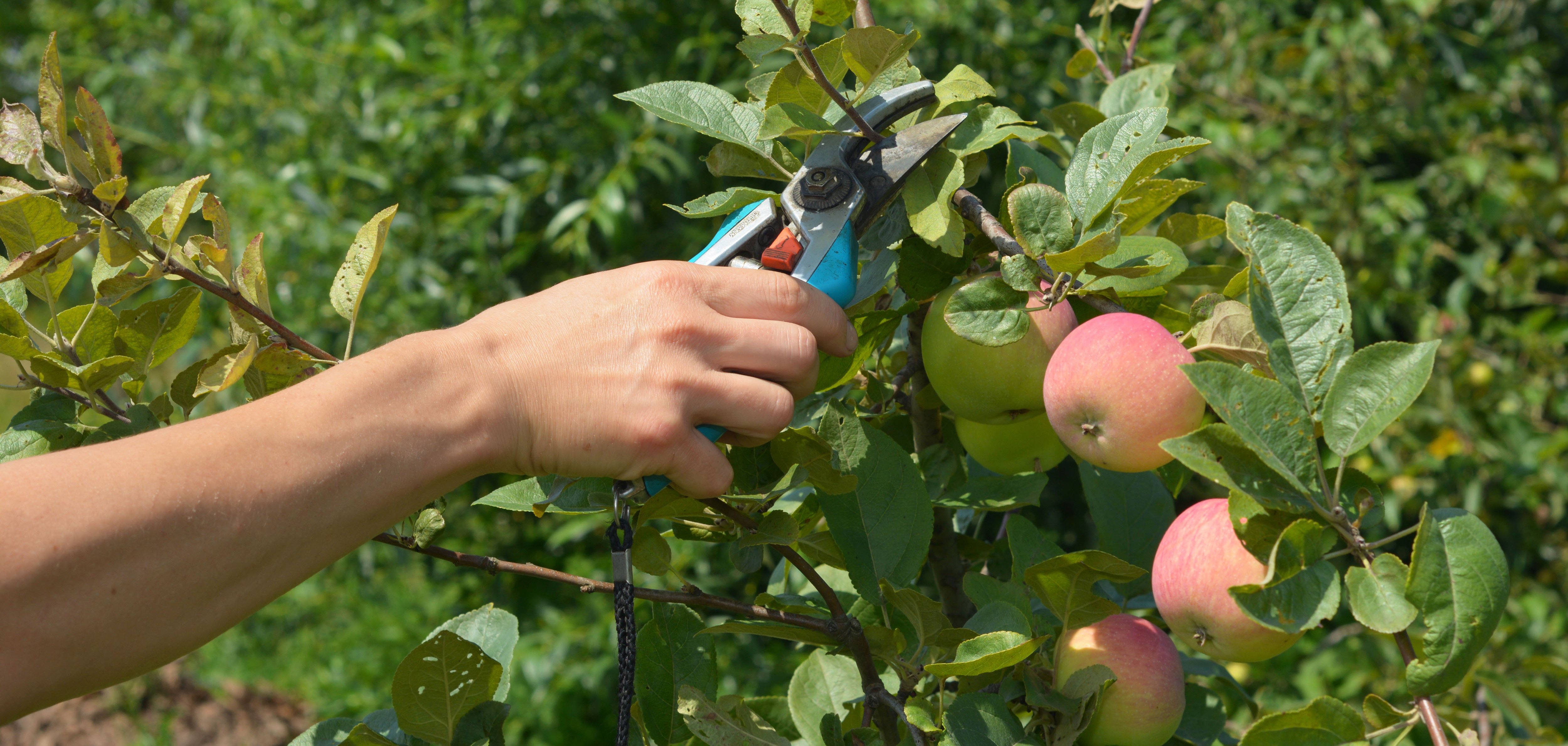 AdobeStock_624788082