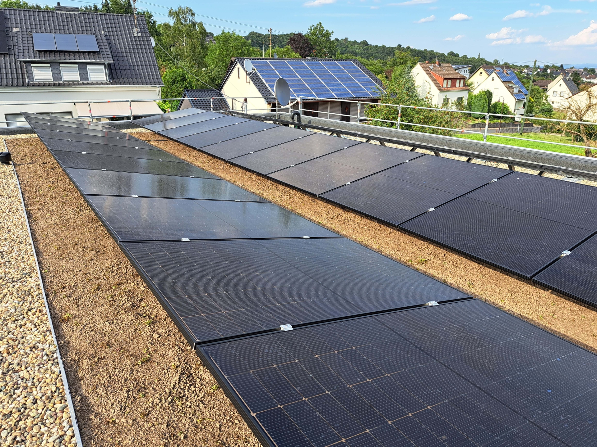 Ein Beispiel für ein neu angelegtes Gründach aus Kottenheim. 