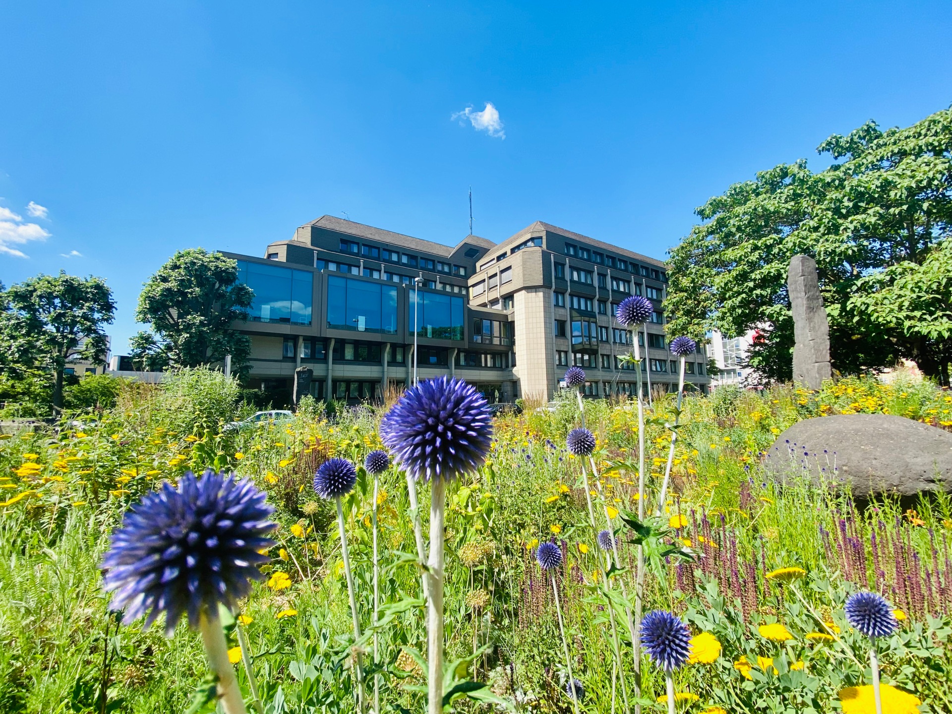 Das Kreishaus in Koblenz im Sommer. 