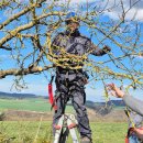 Einblick in einen der vergangenen Schnittkurse in Lehmen. Einblick in einen der vergangenen Schnittkurse in Lehmen.