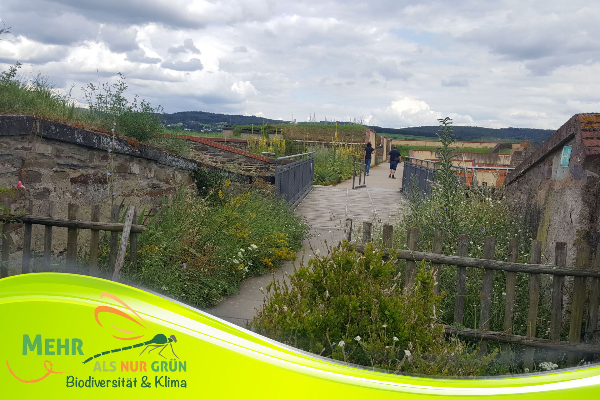 Während der Führung können die Teilnehmer die „Historischen Gärten der Festung Ehrenbreitstein“ entdecken. 