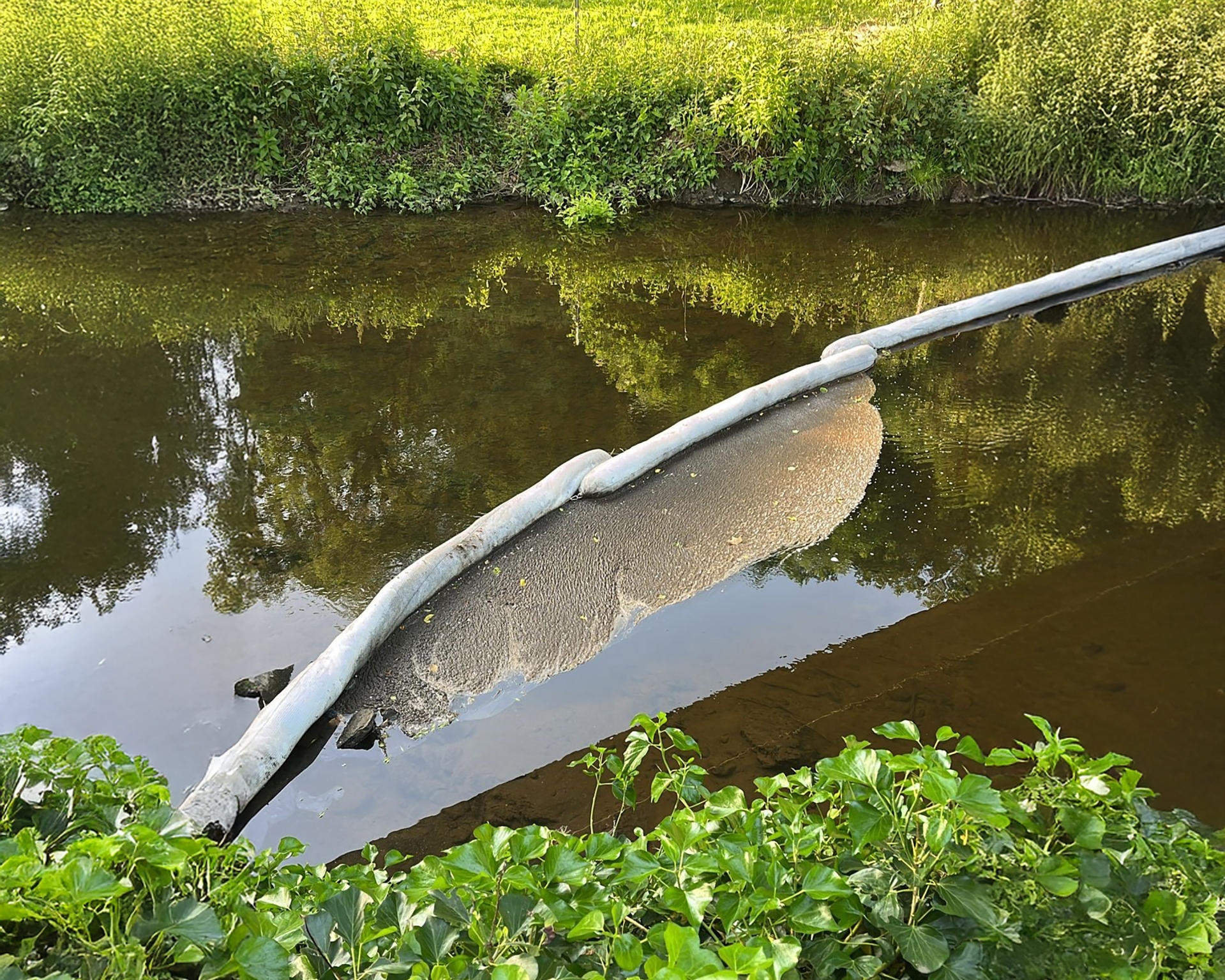 Ölsperre an der Nette