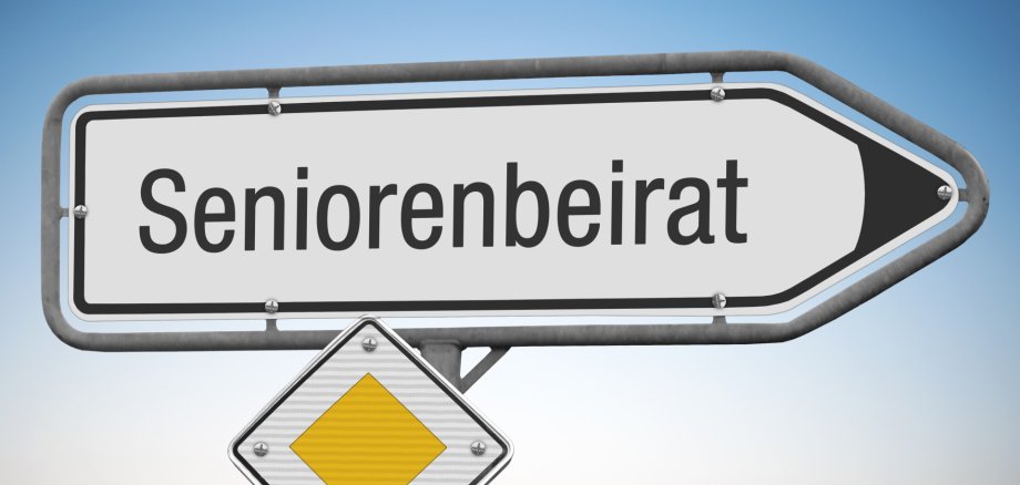 Kreisseniorenbeirat des Landkreises Mayen-Koblenz tagt zu Gesundheit und Pflegestrukturplanung  