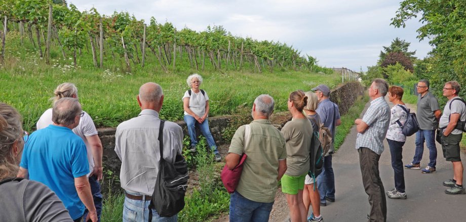 Im Rahmen eines Rundgangs durch Winningen erklärte die Naturgartenexpertin Biggi Kaczmarek den Teilnehmern, welche Pflanzen und Standorte sich besonders für Wildbienen eignen. 