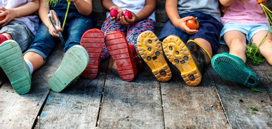 Projekt „Mehr als nur Grün“ fördert naturnahes Spielen in Kitas 