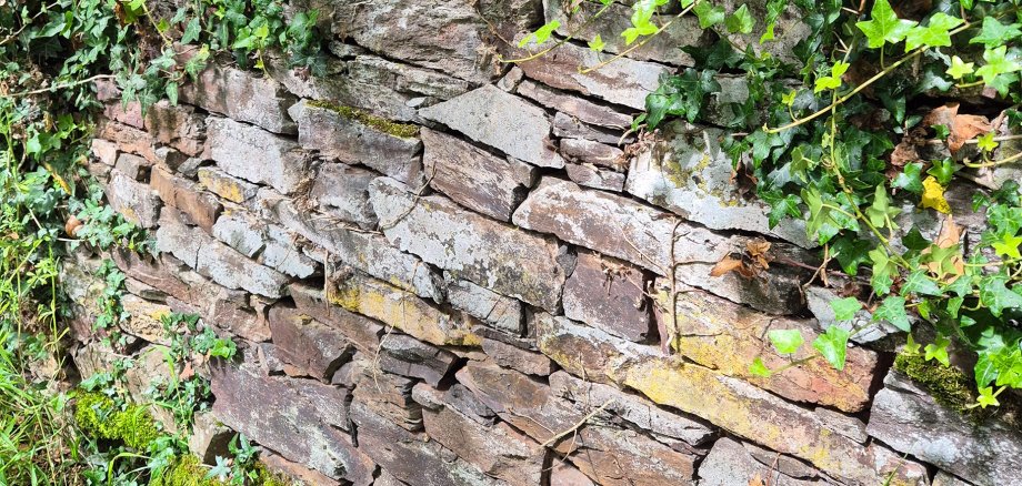 Trockenmauerbau-Kurs in Lehmen