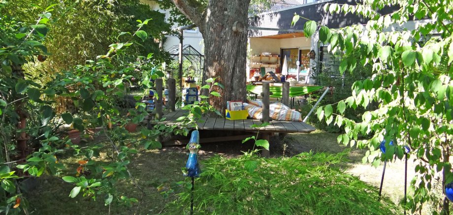 Projekt „Mehr als nur Grün“ besucht naturnahe Kita in Koblenz 