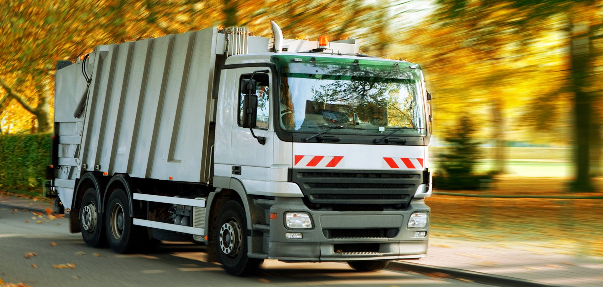 Tierische Nebenprodukte: Neuer Zweckverband für Rheinland-Pfalz und Saarland zuständig 