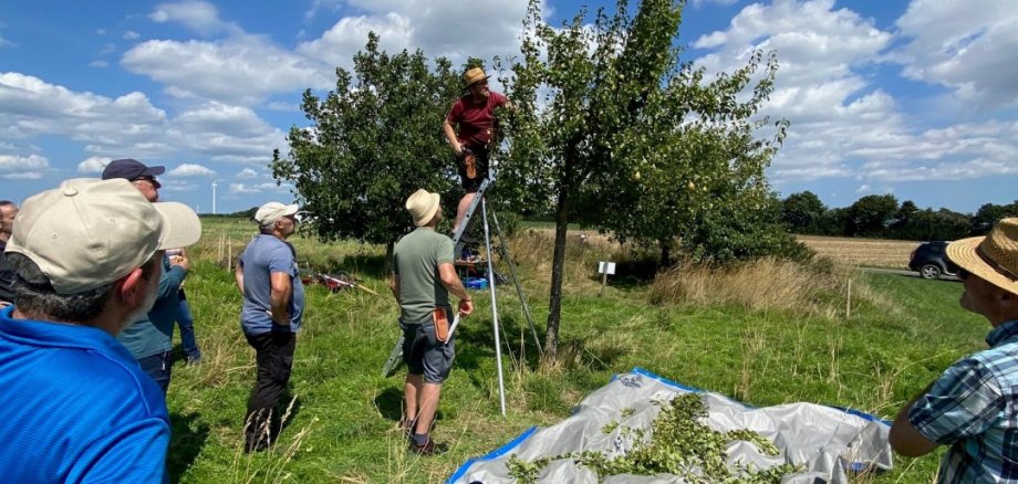 Die Teilnehmer des Schnittkurs in Kehrig im vergangenen Jahr. 